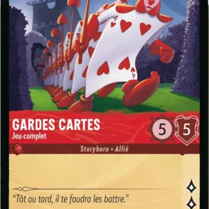 105/204-FR-2 - Gardes cartes