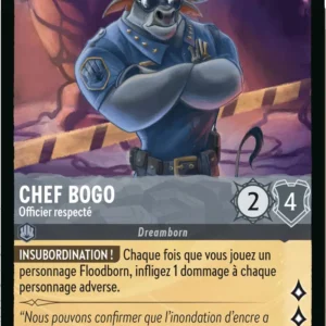 175/204-FR-2 - Chef Bogo