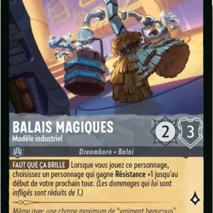 188/204-FR-2 - Balais Magiques