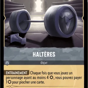 204/204-FR-2 - Haltères