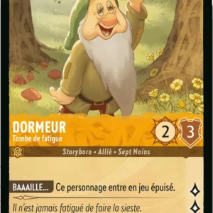 21/204-FR-2 - Dormeur