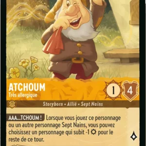 22/204-FR-2 - Atchoum