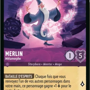 53/204-FR-2 - Merlin