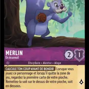 54/204-FR-2 - Merlin