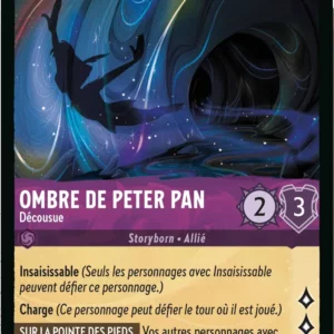 55/204-FR-2 - Ombre de Peter Pan