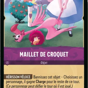 66/204-FR-2 - Maillet de Croquet