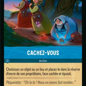 163/204-FR-5 - Cachez-vous