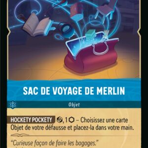 167/204-FR-5 - Sac de voyage de Merlin