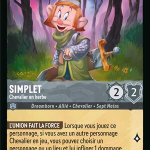 181/204-FR-5 - Simplet