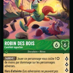 69/204-FR-5 - Robin des Bois