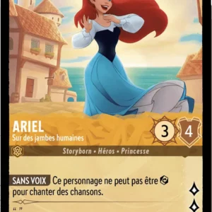 1/204-FR-1 - Ariel