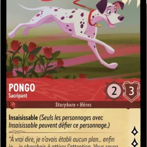 120/204-FR-1 - Pongo