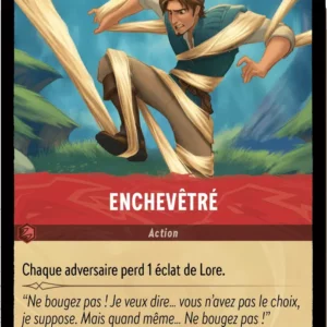 133/204-FR-1 - Enchevêtré