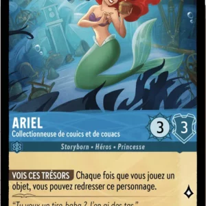 137/204-FR-1 - Ariel