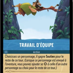 165/204-FR-1 - Travail d’équipe