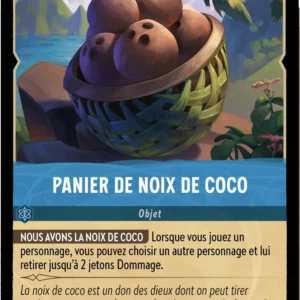 166/204-FR-1 - Panier de noix de coco