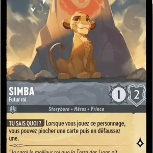 188/204-FR-1 - Simba