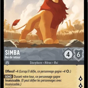 189/204-FR-1 - Simba
