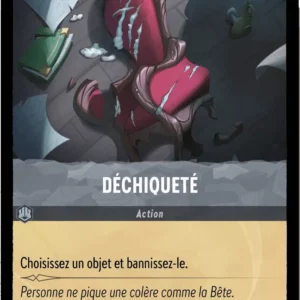 196/204-FR-1 - Déchiqueté