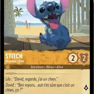 22/204-FR-1 - Stitch