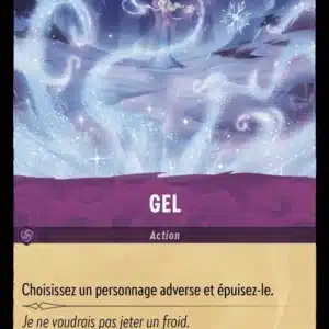 63/204-FR-1 - Gel