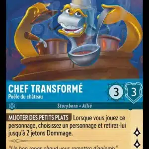 157/204-FR-4 - Chef Transformé