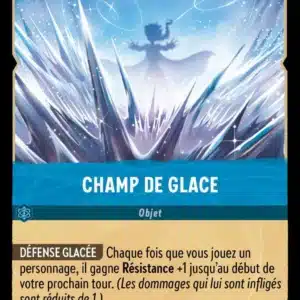 166/204-FR-4 - Champ de glace