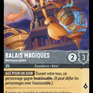 185/204-FR-4 - Balais Magiques