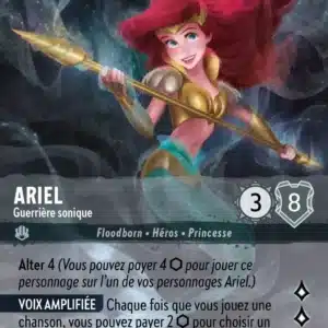220/204-FR-4 - Ariel