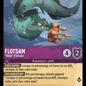 43/204-FR-4 - Flotsam