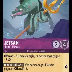 46/204-FR-4 - Jetsam