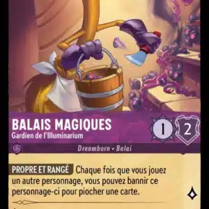 48/204-FR-4 - Balais Magiques