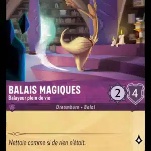 49/204-FR-4 - Balais Magiques