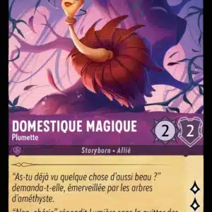 50/204-FR-4 - Domestique magique
