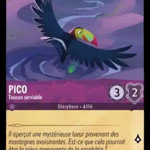 55/204-FR-4 - Pico