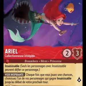 103/204-FR-3 - Ariel