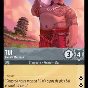 171/204-FR-3 - Tui