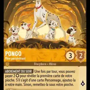 19/204-FR-3 - Pongo
