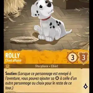 21/204-FR-3 - Rolly