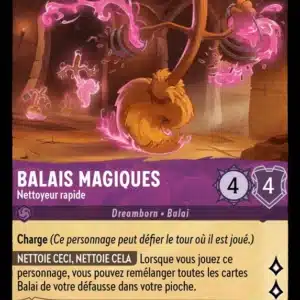 45/204-FR-3 - Balais Magiques