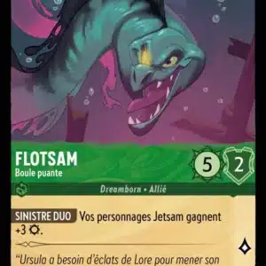 72/204-FR-3 - Flotsam