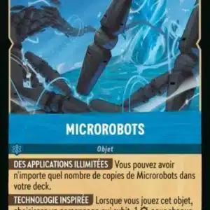 167/204-FR-6 - Microrobots