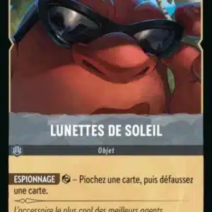 202/204-FR-6 - Lunettes de soleil