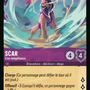 47/204-FR-6 - Scar