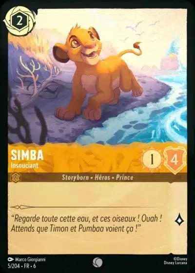 5/204-FR-6 - Simba